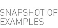 Snapshot of Examples